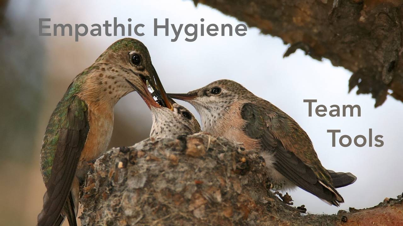 #1 Empathic Hygiene: Team Tools